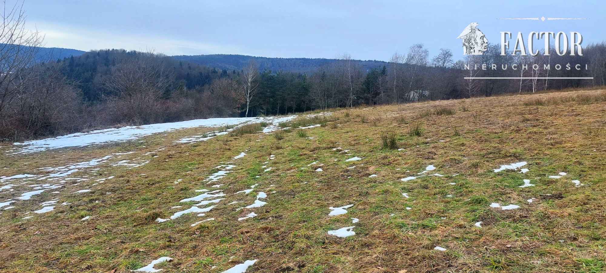 Działka budowlana 1,07 ha – Siary, gm. Sękowa 1170S/2026 Siary - zdjęcie 10