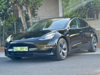 Tesla Model 3 Europa, AWD, Long Range, Dual motor, Autopilot, Knurów - zdjęcie 3
