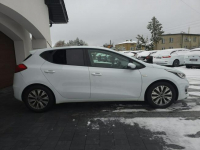 Kia Cee'd Bogate wyposażenie | Niski przebieg Żarki - zdjęcie 4
