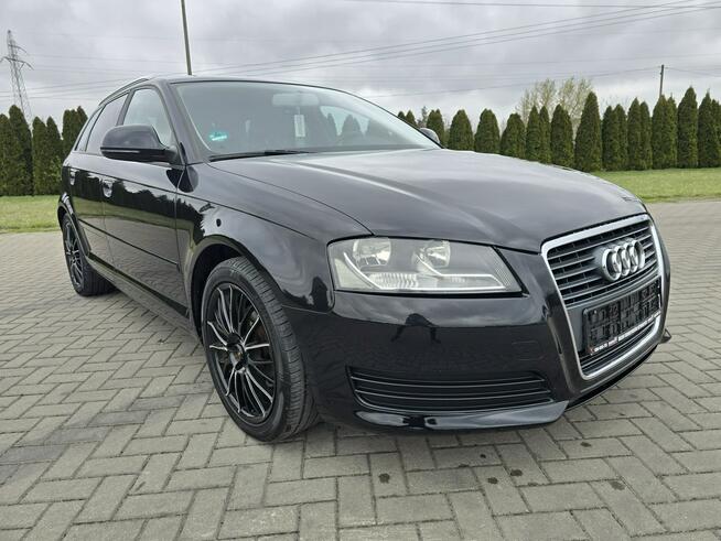 Audi A3 1,4Turbo Benz.LIFT.Automat.Navi.DVD.Parktronic.Tempomat. Kutno - zdjęcie 3