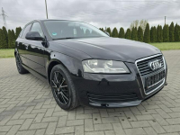 Audi A3 1,4Turbo Benz.LIFT.Automat.Navi.DVD.Parktronic.Tempomat. Kutno - zdjęcie 3