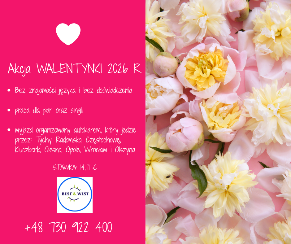 Praca w Holandii przy kwiatach Strzelce Opolskie - zdjęcie 1