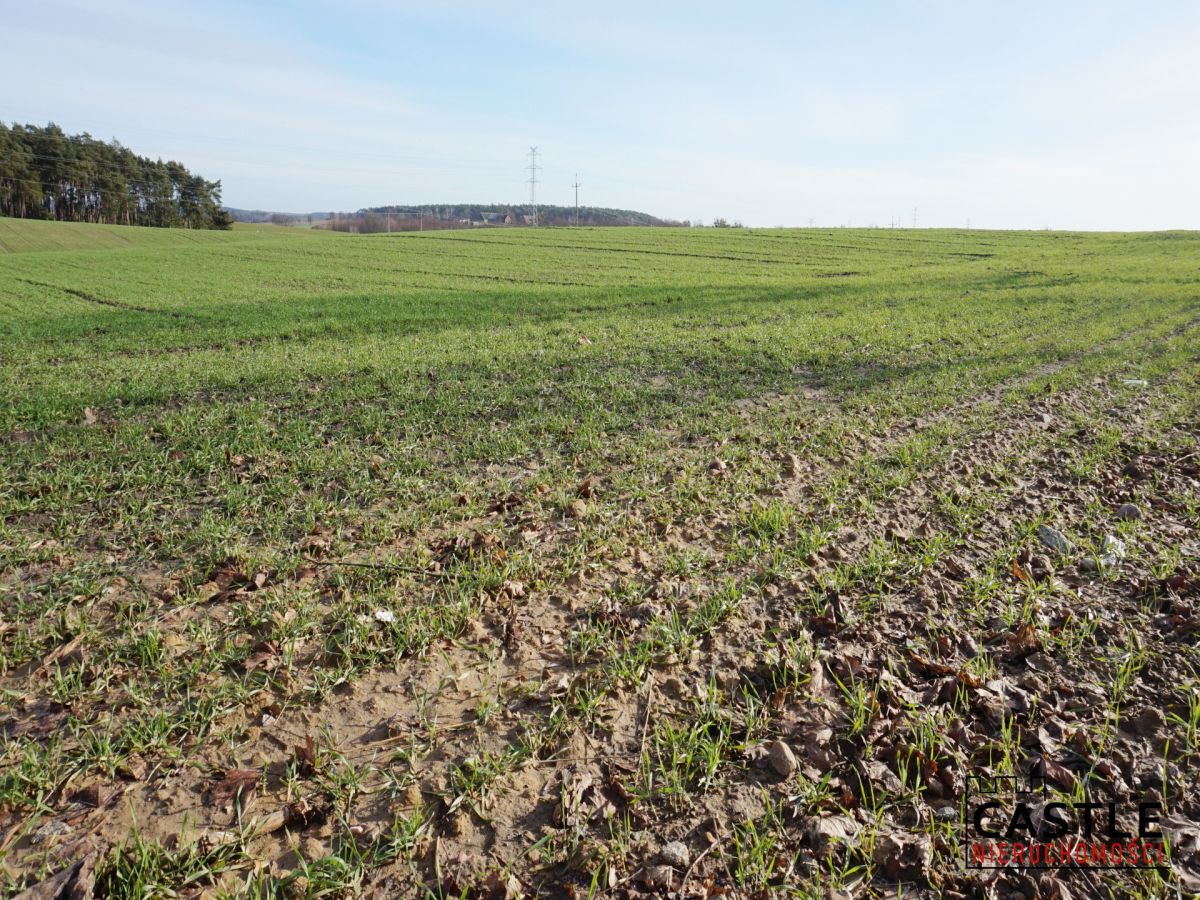 Działka z widokiem na jezioro! Sieraków - zdjęcie 3