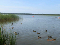Domek letniskowy w Łebie Łeba - zdjęcie 8