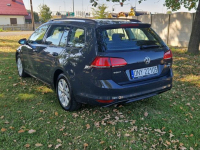 Volkswagen Golf 1.6tdi Mod.2017 Salon Polska Raty Zamiana Strobice - zdjęcie 4