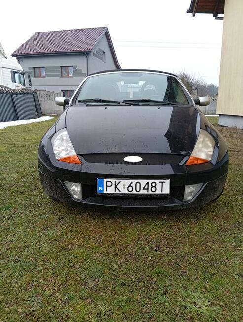 Ford Streetka 1.6.Cobrio Książenice - zdjęcie 2