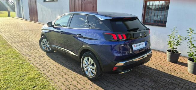 Peugeot 3008 Paproć - zdjęcie 5