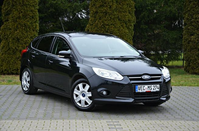 Ford Focus 1.6 16V 125KM Serwis! Super Stan! Zobacz!!! Ostrów Mazowiecka - zdjęcie 1