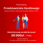 Przedstawiciel PIRKFiS – Warszawa / Gdańsk /Poznań/ Katowice Rzeszów - zdjęcie 1