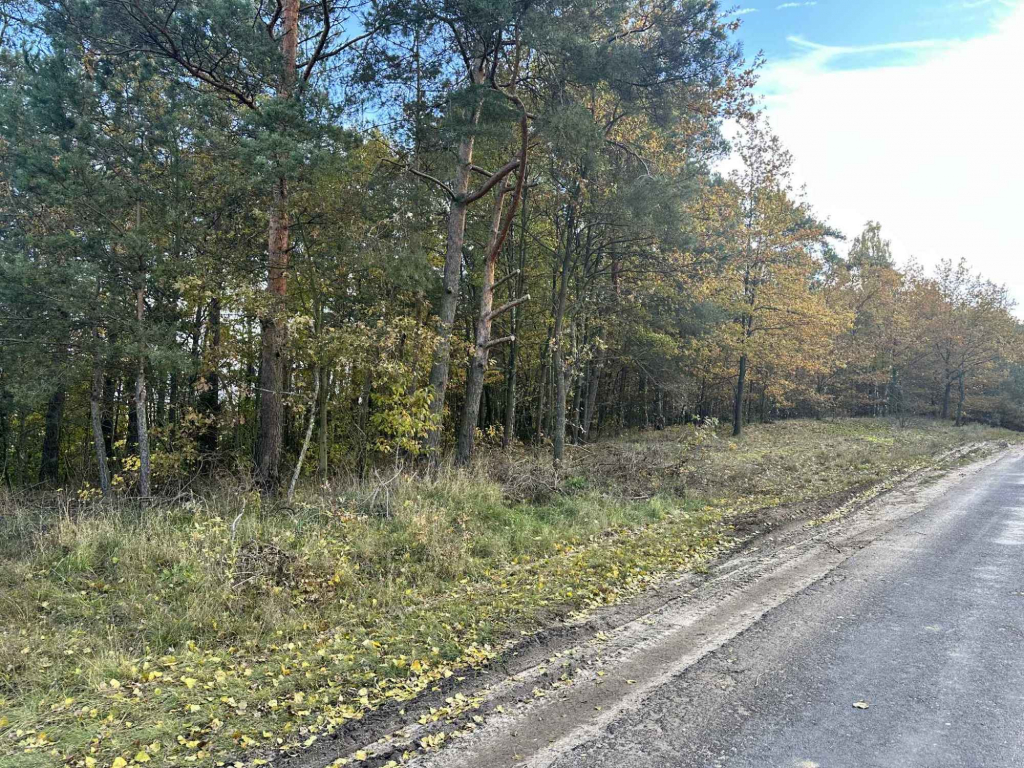 Działka budowlana na sprzedaż 4800 m 2, Gmina Brójce, Pałczew Pałczew - zdjęcie 2