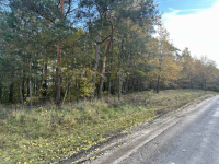 Działka budowlana na sprzedaż 4800 m 2, Gmina Brójce, Pałczew Pałczew - zdjęcie 2