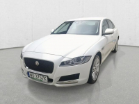 Jaguar XF Poleasingowe.pl ECR Komorniki - zdjęcie 2