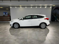 Ford Focus Trend 1.6TDCI 116KM M6 2015 r., salon PL, 12 m-cy gwarancji Myślenice - zdjęcie 5