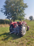 Sprzedam MASSEY FERGUSON 255 Danowo - zdjęcie 4