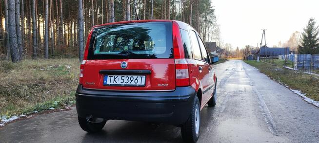 Fiat Panda Kielce - zdjęcie 5