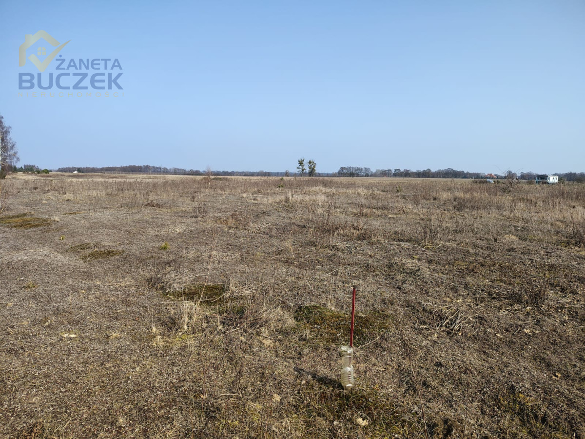 Sprzedam działki rolne o pow. 4029 w Skarbikowie Skarbikowo - zdjęcie 5