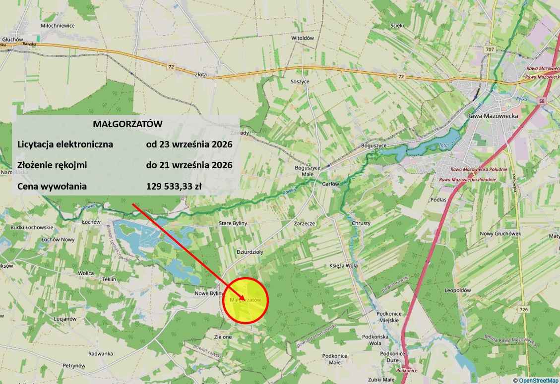Licytacja komornicza, zalesiona, zabudowa zagrodowa Małgorzatów - zdjęcie 4