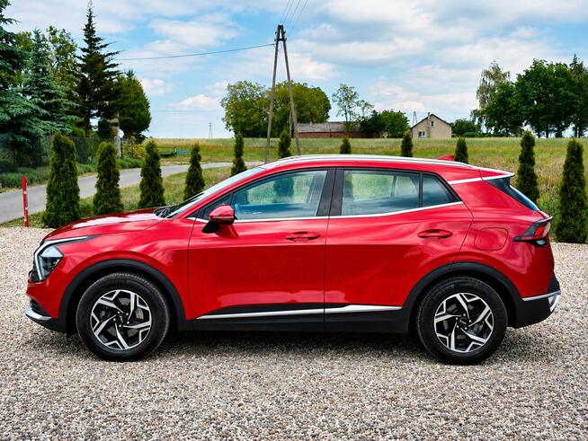 Kia Sportage Sadlno - zdjęcie 5