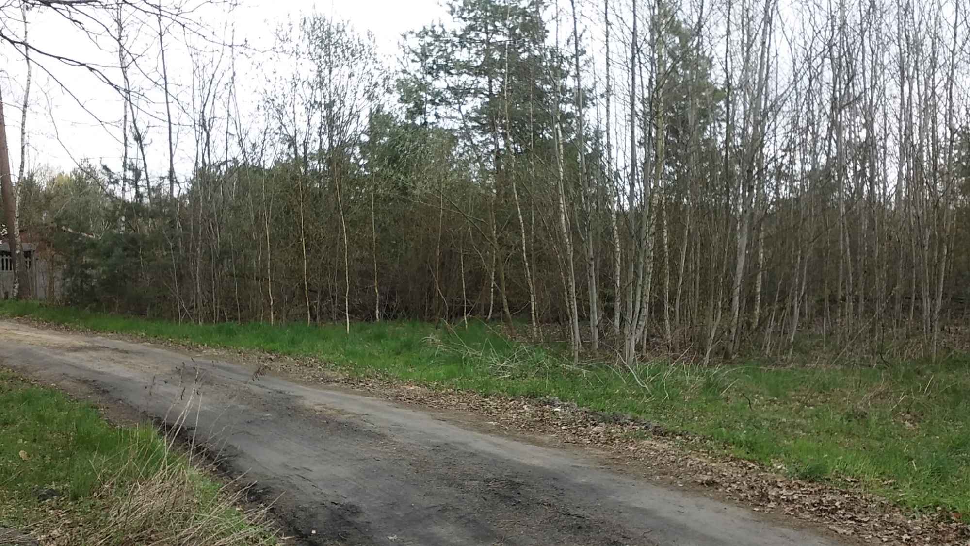 Działka budowlana Wilków, pow.poddębicki Wilków - zdjęcie 2