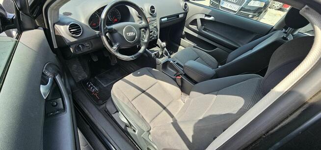 Audi A3 2005r 1.6 Benzyna PIĘKNA z klimatyzacją Brzoza - zdjęcie 8