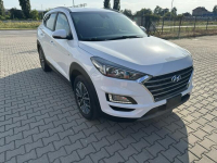 Hyundai Tucson 1.6crdi, 48V, Bogata wersja, Klimatronic, PDC, Super Ostrowiec Świętokrzyski - zdjęcie 5