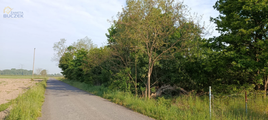 Sprzedam działkę przemysłową w Nowym Kozłowie A Nowy Kozłów Pierwszy - zdjęcie 2