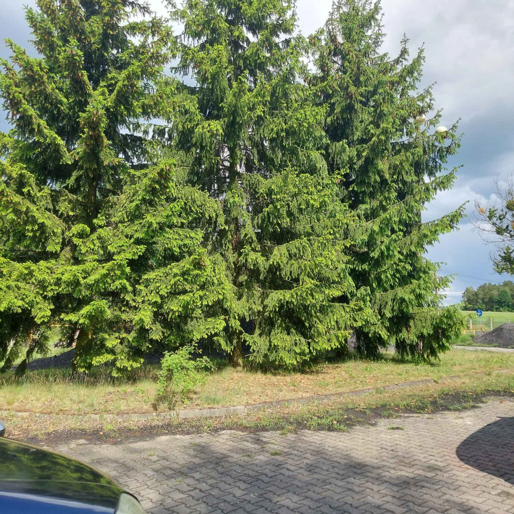 Działka budowlana uzbrojona Tuczno Zachodniopomorskie Tuczno - zdjęcie 9