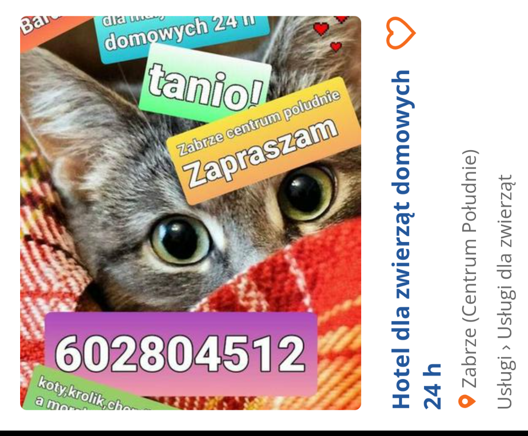 Hotel dla zwierząt domowych Zabrze - zdjęcie 1
