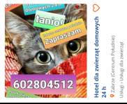 Hotel dla zwierząt domowych