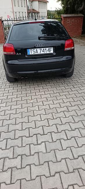 Audi A3 8P Pęchów - zdjęcie 4