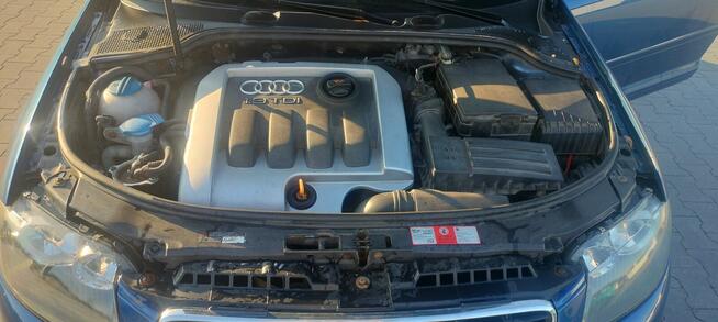 Audi A3 8p 1.9 TDI Psie Pole - zdjęcie 2