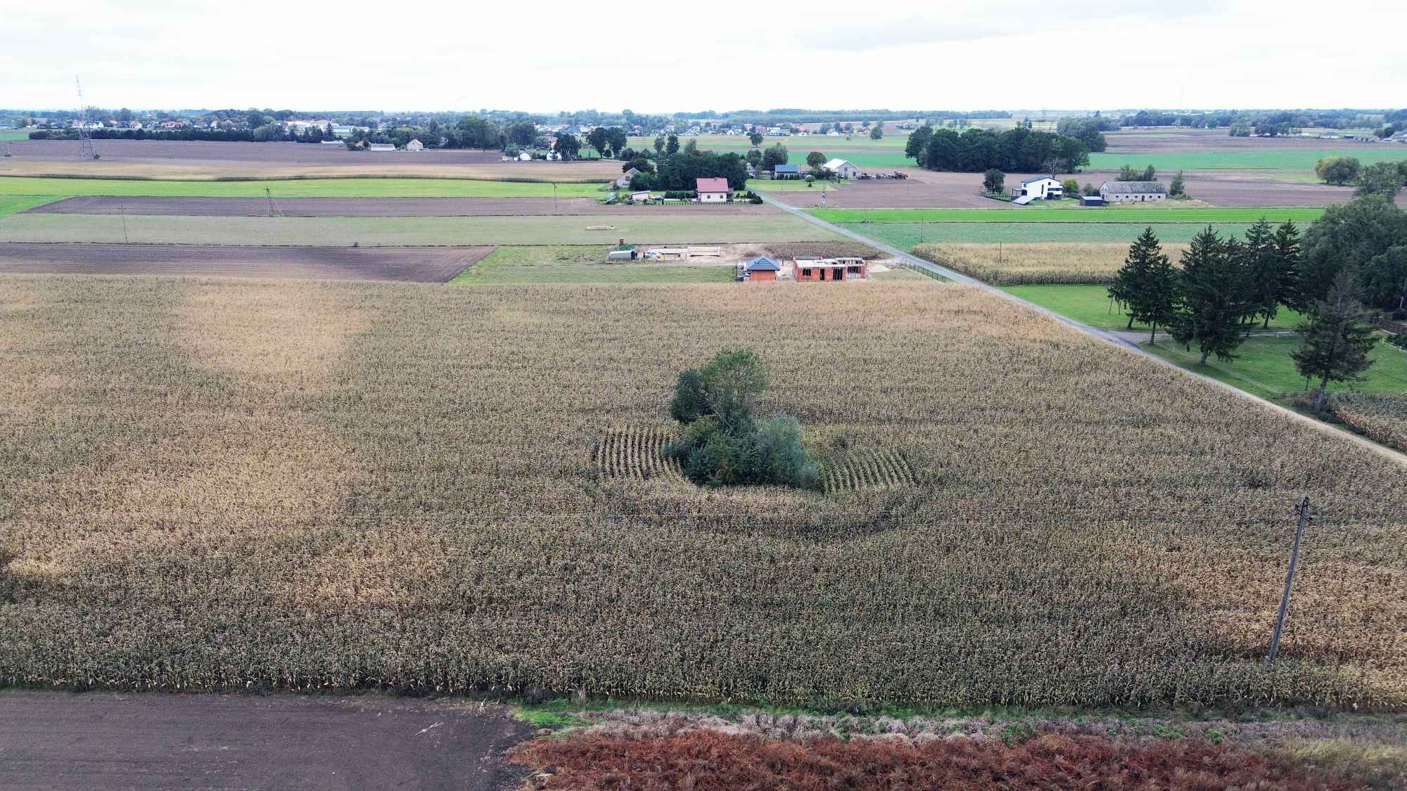 Działka Budowlana Radzanowo - Begno 1073 m2 WYDANE WZ Radzanowo - zdjęcie 4