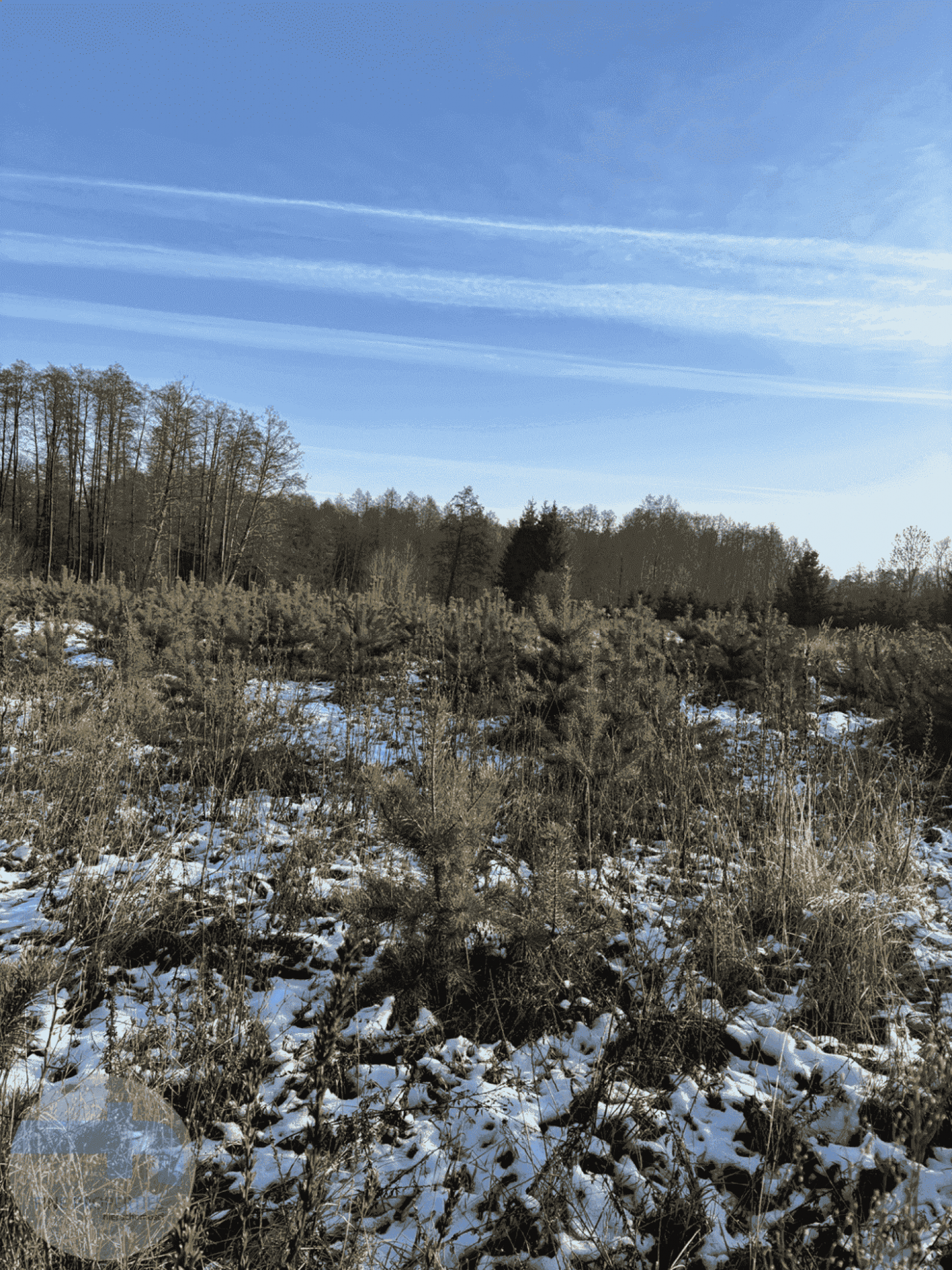 4 DZIAŁKI OBOK SIEBIE(2 BUDOWLANE, 2 ROLNE) Kątne - zdjęcie 2