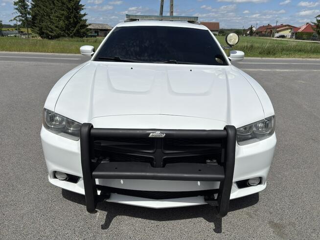 Dodge Charger Pursuit K9 Sheriff 2014 Sulechów - zdjęcie 2