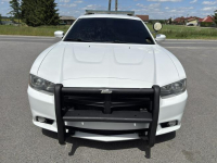Dodge Charger Pursuit K9 Sheriff 2014 Sulechów - zdjęcie 2