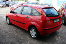 Ford Focus Bezwypadkowy , Polski salon , Super stan Piła - zdjęcie 4