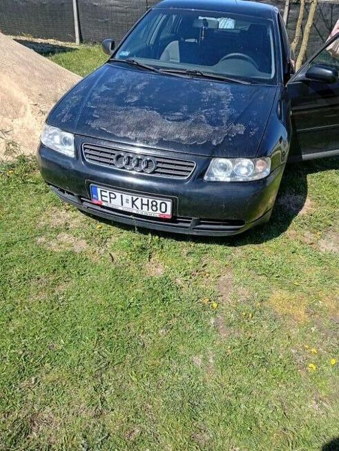 Audi A3 1.6 benzyna hak Opoczno - zdjęcie 1
