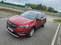 Opel Grandland X Lipówki - zdjęcie 6