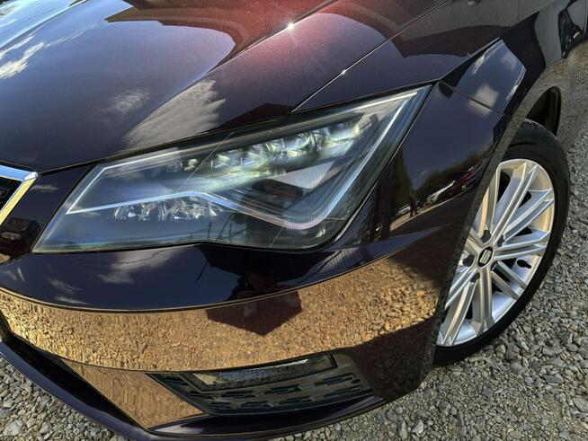 LEON XCELLENCE 2.0 150KM skóra FULL LED navi SERWIS bezwypadkowy 2017 Tychy - zdjęcie 9