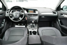 Audi A4 2.0 TDI Bi-Xenon LED Navi Klimatronik Bluetooth Zadbany Hrubieszów - zdjęcie 2