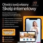 Sklepy internetowe-Szkolenia-Wsparcie techniczne-Kampanie reklamowe Fabryczna - zdjęcie 1