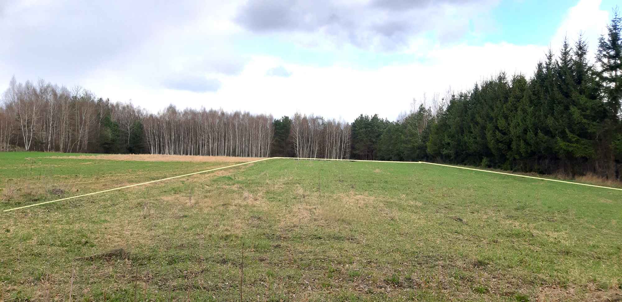 2 działki, przy lesie, 1,5 km od zalewu Chańcza Życiny - zdjęcie 1