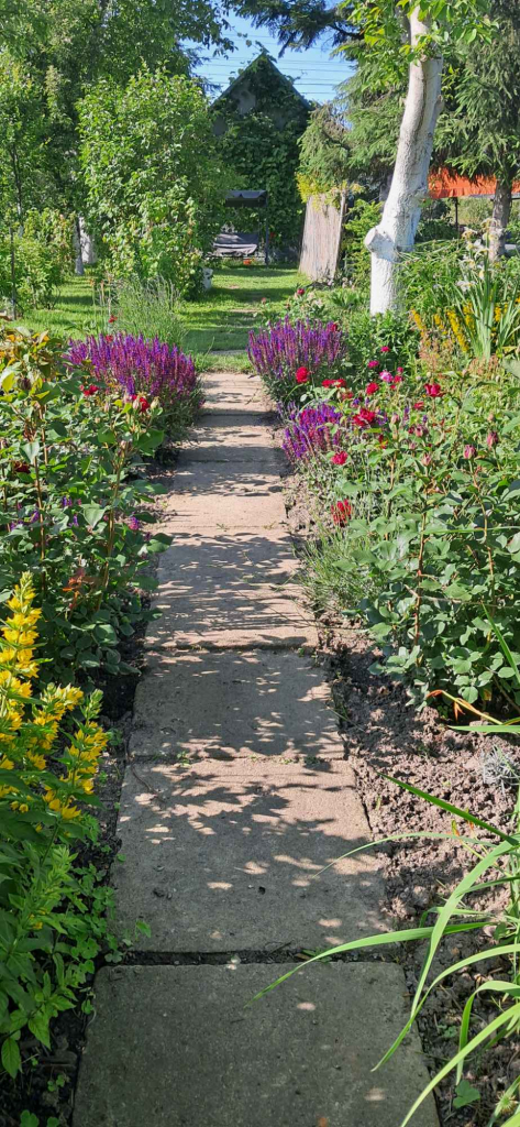 Działka ROD Tarnów - zdjęcie 7