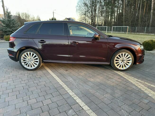 Audi A3 Lipówki - zdjęcie 12