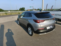 Opel Grandland X Lipówki - zdjęcie 11