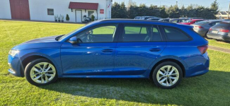 Škoda Octavia Zarejestrowany Paproć - zdjęcie 4