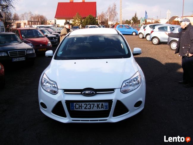 Motoryzacja / Ford Focus / Września - zdjęcie 1