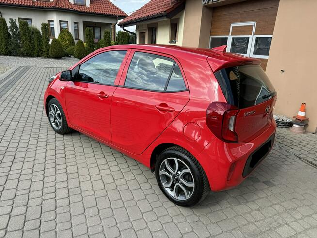 Kia Picanto 1,0 67KM  Klimatyzacja  Kamera  CarPlay Orzech - zdjęcie 10