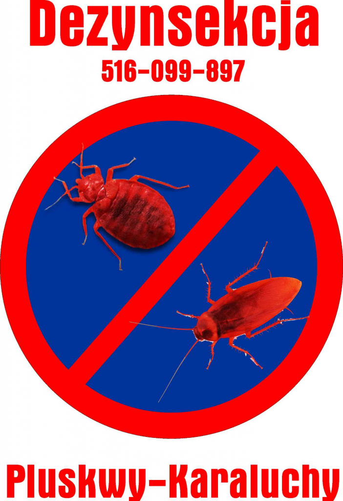 DEZYNSEKCJA PLUSKWY KARALUCHY Śródmieście - zdjęcie 1