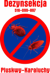 DEZYNSEKCJA PLUSKWY KARALUCHY